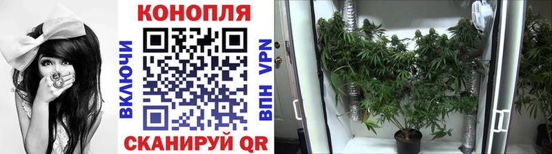 Где купить наркоту Дорогобуж A-PVP  OMG tor  АМФ  COCAIN  Гашиш  Мефедрон 