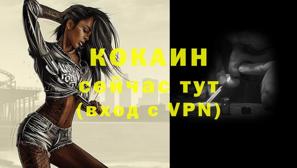 бошки Вяземский