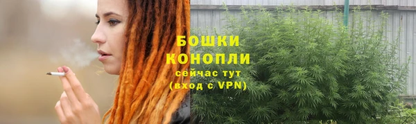 мдпв Верхний Тагил