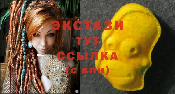 дживик Вязьма