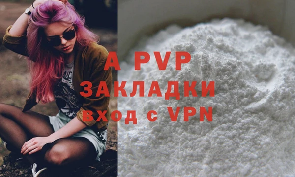 дживик Вязьма