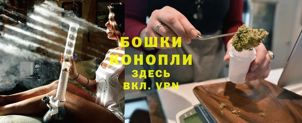 дживик Вязьма